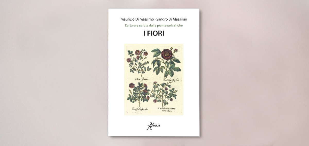 Pubblicazioni